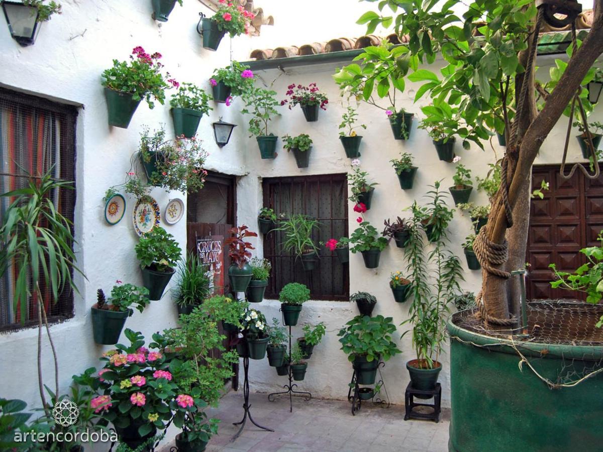 Appartement Casa Turistica San Agustin à Cordoue Extérieur photo